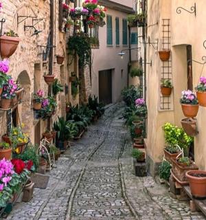 an alley with potted plants and flowers