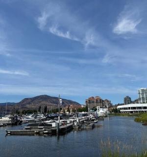 一群船停靠在城市的码头