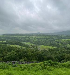pohled na zelené údolí s kopci a stromy