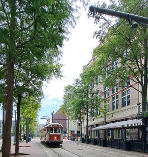 a tram on a city street with trees and buildings