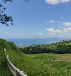 plot na travnatém kopci s výhledem na oceán