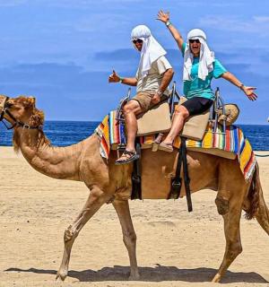 两个人在海滩上骑着骆驼