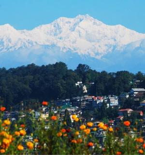 一座以鲜花和山脉为背景的城市