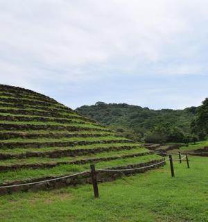一个有围栏的大型草地圆形剧场