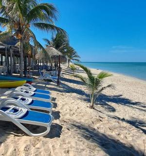 沙滩上的一排躺椅