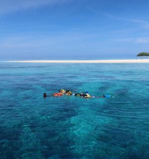 一群人在海里游泳