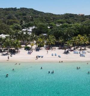 a group of people in the water at a beach