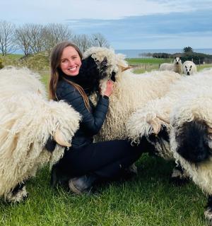 a woman is kneeling next to a group of sheep