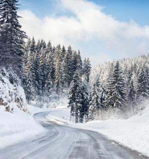 森林中一条被雪覆盖的道路