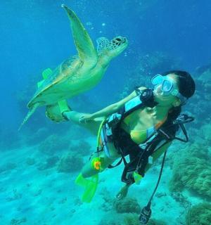a person in the water with a green sea turtle