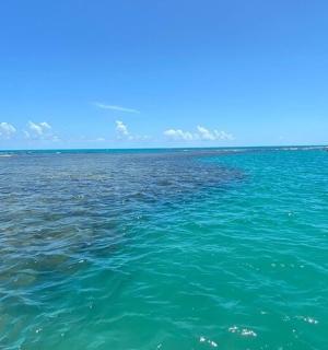 výhled na oceán s lodí v dálce