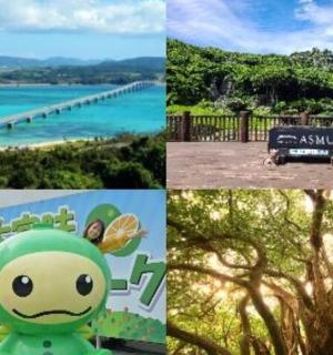 四张海滩和海水的照片拼贴而成