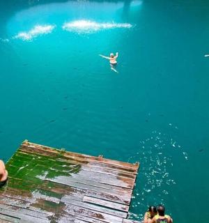 a group of people swimming in the water