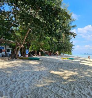 沙滩上树木繁茂，水上有人