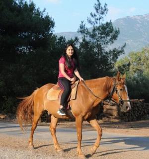 一名女子在路上骑马