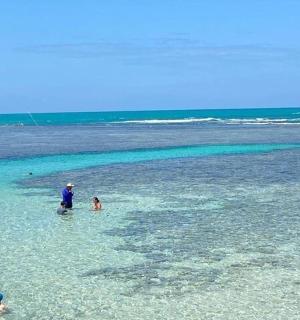 一群人在海滩的水中