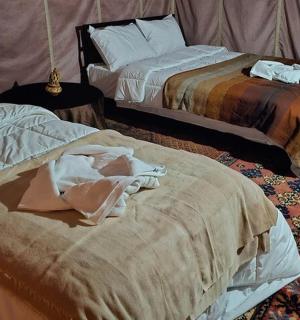 房间里有两张并排的床