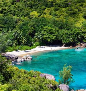 一片有船在水中的海滩