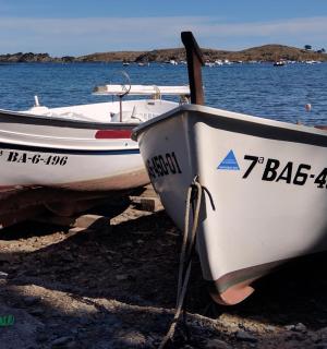 两艘船停泊在水岸边