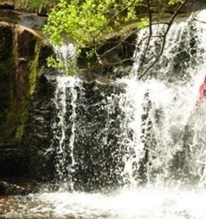 站在瀑布前的人