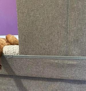 a cat laying on a bed in a room