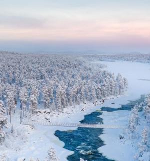 鸟瞰河流和白雪覆盖的树木