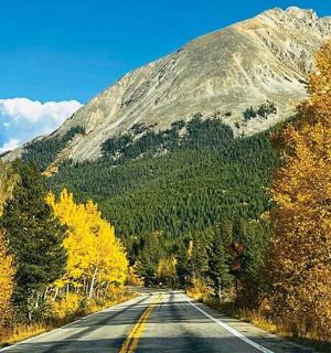 an empty road with yellow trees and a mountain