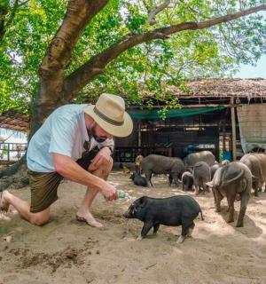 a man in a hat petting a group of pigs