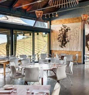 有桌子、白色椅子和窗户的餐厅