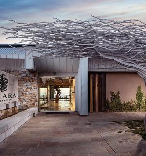 一棵树矗立在建筑物前