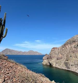 a cactus on the side of a mountain next to the water