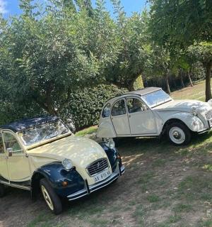 两辆旧车并排停在田野里