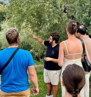 en gruppe mennesker står udenfor og kigger på et træ