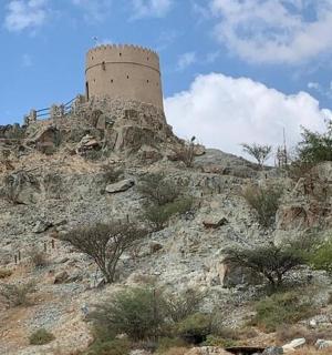 a castle on top of a mountain with trees