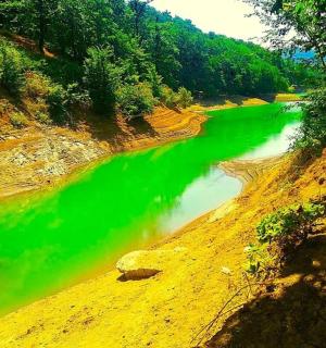 山边一条绿水河
