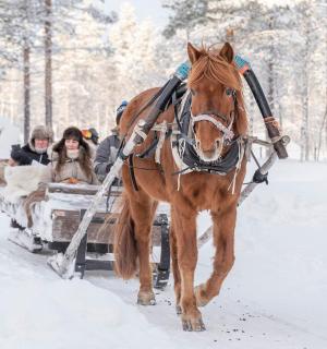 a horse pulling a sleigh with people on it in the snow