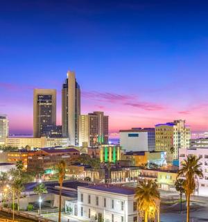 panorama města v noci s palmami a budovami