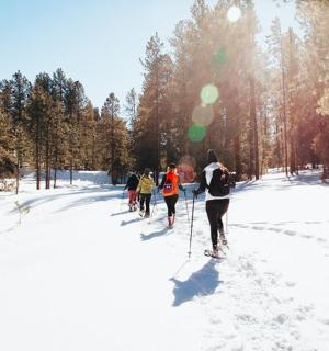 skupina lidí lyžuje na běžkách ve sněhu