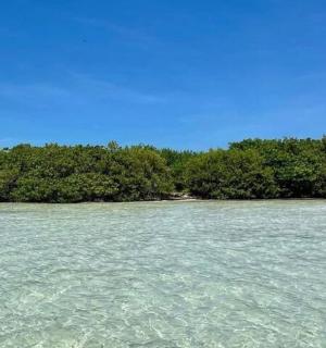 an island in the middle of a body of water