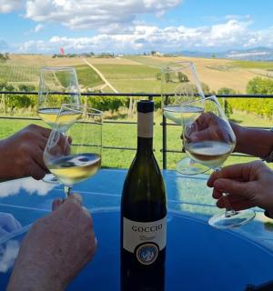two people holding up glasses of white wine