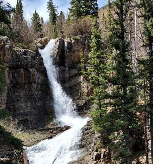 vodopád na úbočí hory se stromy