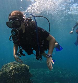 kaks inimest sukelduvad vees