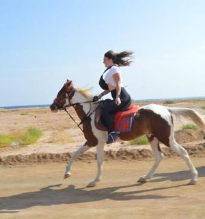 两个人在土路上骑马