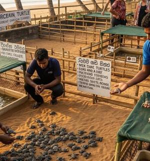 a group of men playing a game of billiards