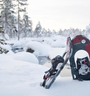 一副滑雪板放在雪地里