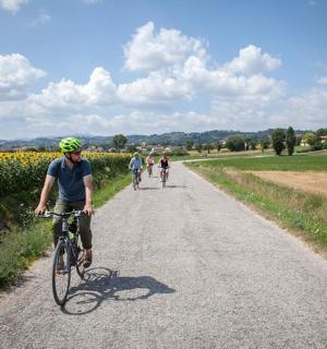 a group of people riding bikes down a road
