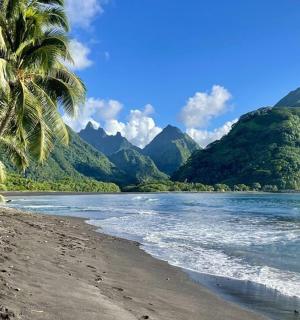 有棕榈树、水和山的海滩