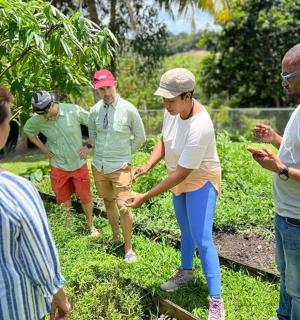 一群人站在田野里看着手机
