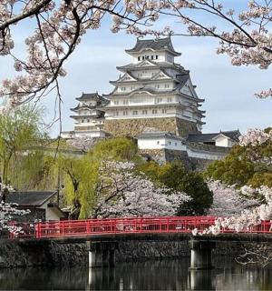 a large castle with a red bridge and cherry trees