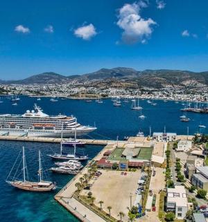 a cruise ship docked in a harbor with boats